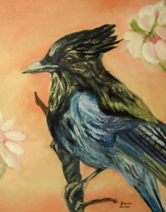 Oil painting I did of the Stellar's Jay